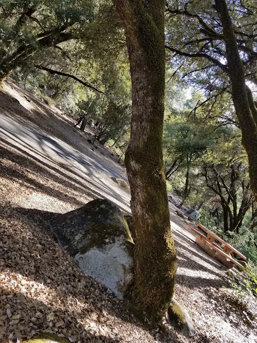 Brandy Creek Campground Picture 6