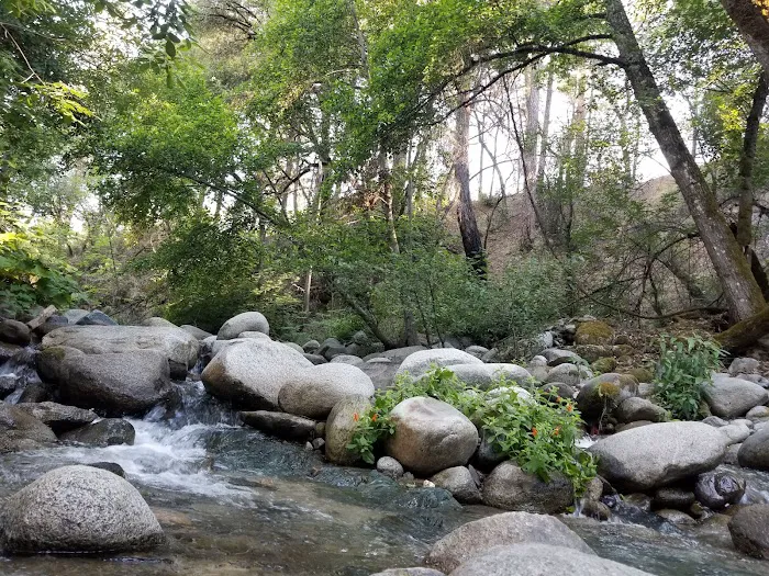 Brandy Creek Campground Picture 9