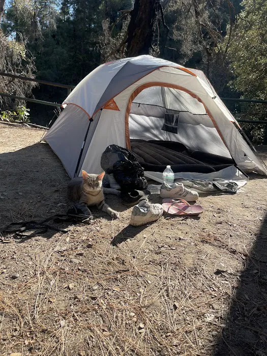 Sheep Camp Picture 6