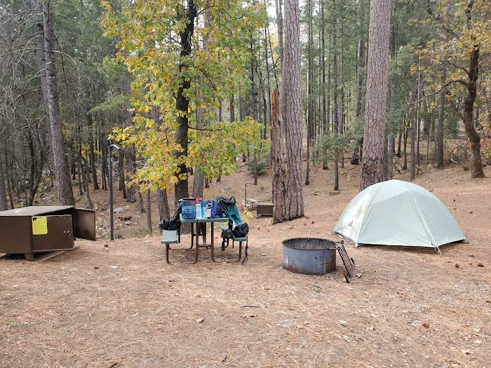 Sheep Camp Picture 4