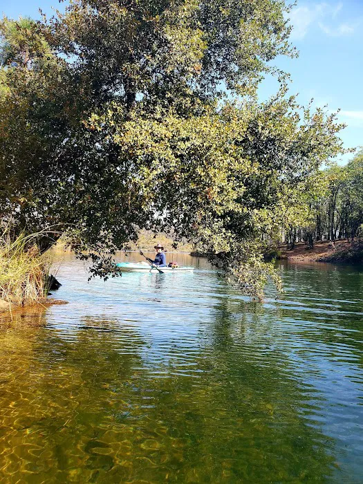 Dry Creek Group Campground Picture 5