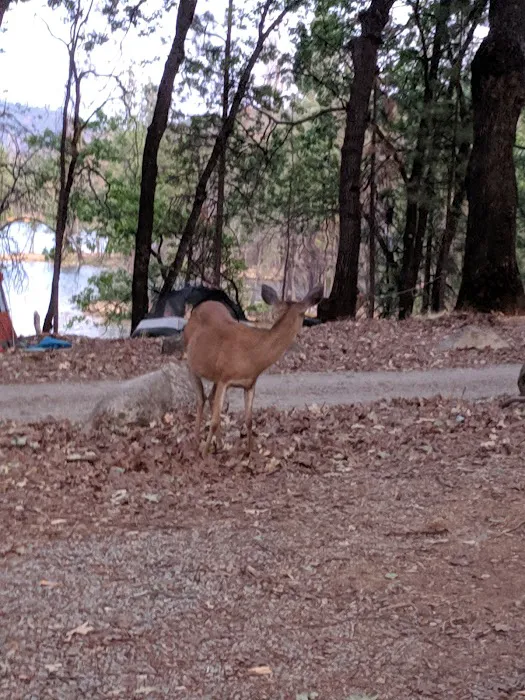 Dry Creek Group Campground Picture 6