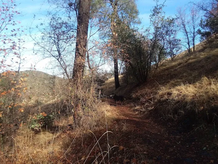 Lower Jones Valley Campground Picture 5