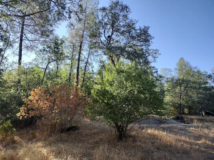 Lower Jones Valley Campground Picture 1