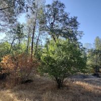 Lower Jones Valley Campground ico