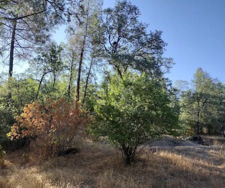 Lower Jones Valley Campground