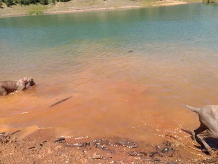 Jones Valley Inlet Shoreline Campground Picture 4