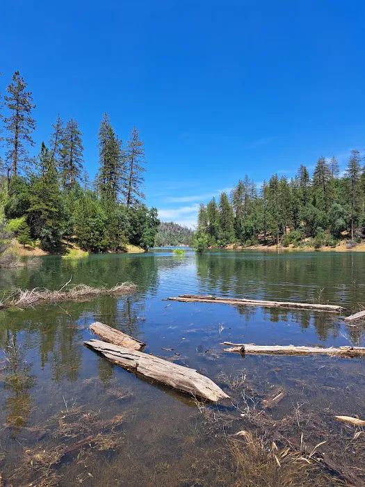 Jones Valley Inlet Shoreline Campground Picture 9