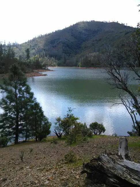 Mariners Point Loop 2 Group Campground Picture 2
