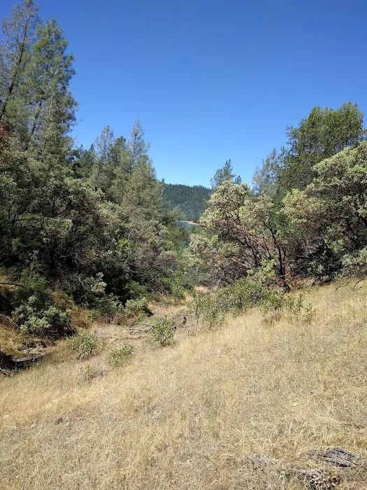 Mariners Point Loop 2 Group Campground Picture 8
