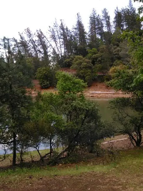 Mariners Point Loop 2 Group Campground Picture 1