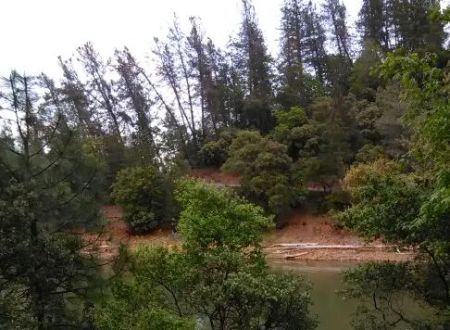 Mariners Point Loop 2 Group Campground