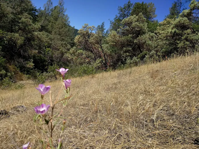 Mariners Point Loop 2 Group Campground Picture 10