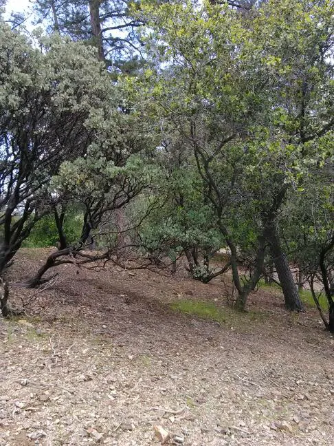 Mariners Point Loop 2 Group Campground Picture 3
