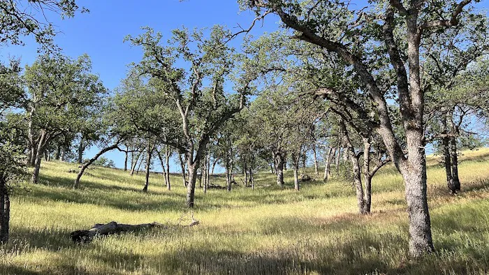 Buckhorn Recreation Area Picture 7