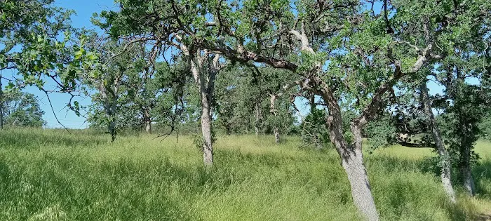 Buckhorn Campground Picture 4