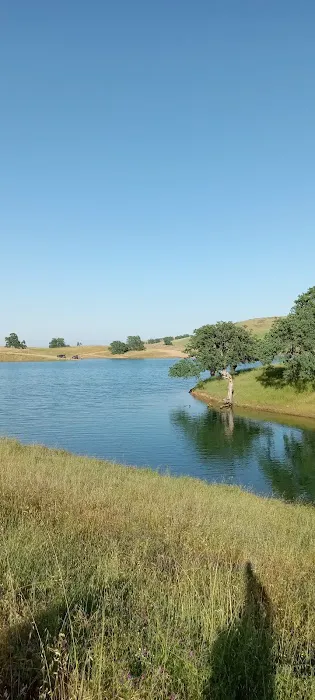 Buckhorn Campground Picture 7