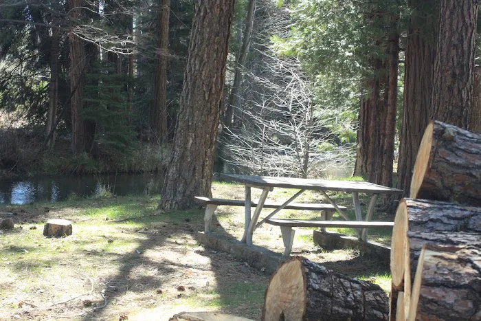 Honn Campground Picture 3