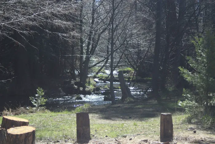 Honn Campground Picture 5