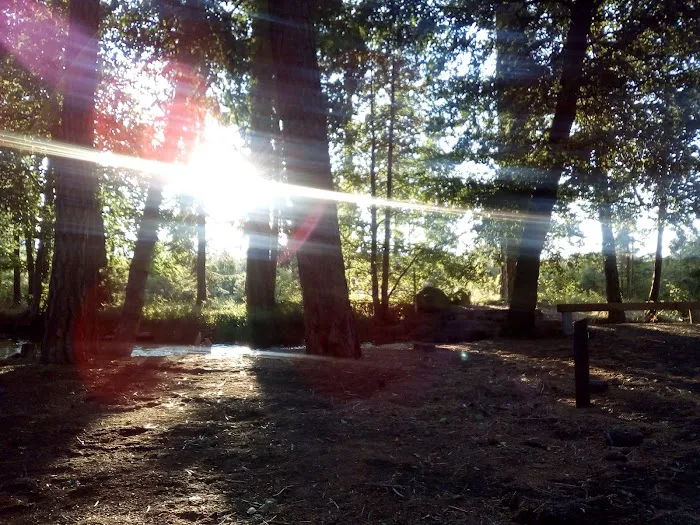 Honn Campground Picture 9
