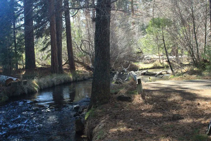 Honn Campground Picture 1