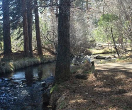 Honn Campground