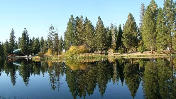 Burney Falls / Hat Creek KOA Holiday Picture 1