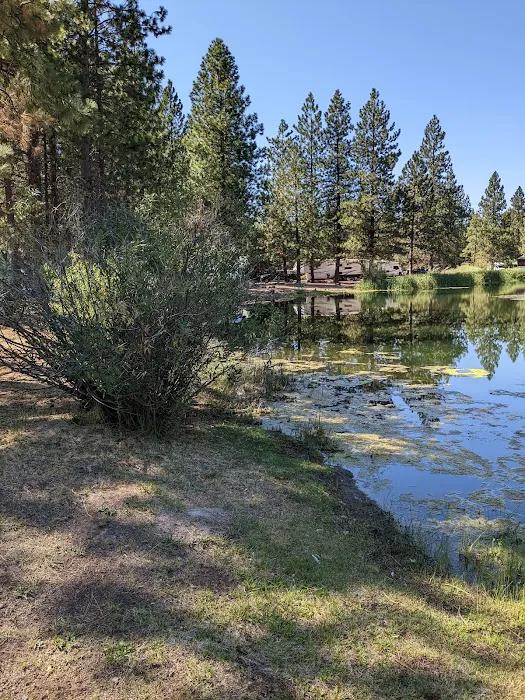 Burney Falls / Hat Creek KOA Holiday Picture 4
