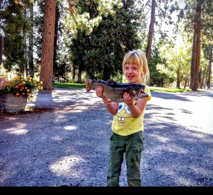 Hat Creek Hereford Ranch RV Park & Campground Picture 4