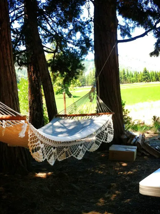 Hat Creek Hereford Ranch RV Park & Campground Picture 9