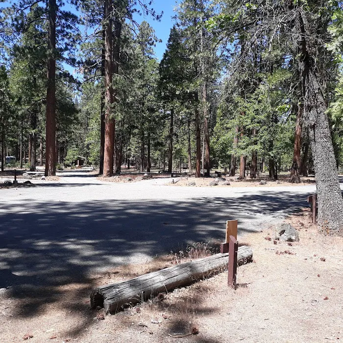 Bridge Campground Picture 4