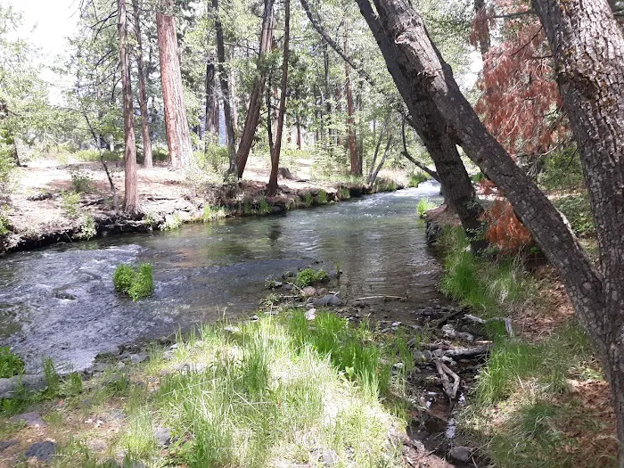 Bridge Campground Picture 6