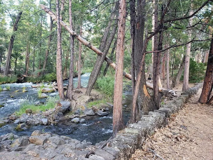Bridge Campground Picture 2