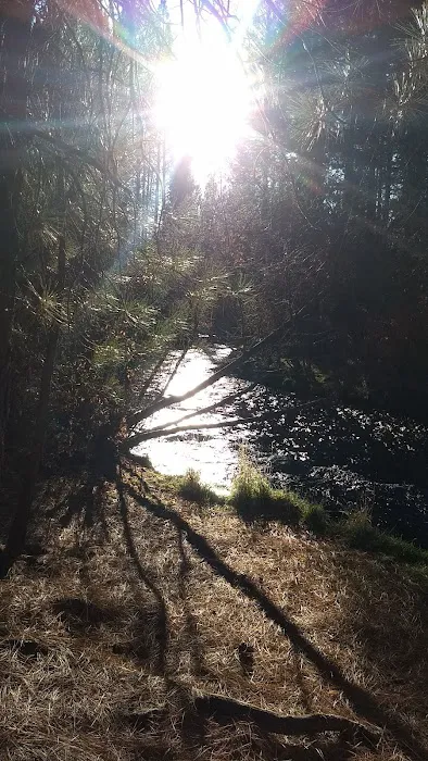 Rocky Campground Picture 2