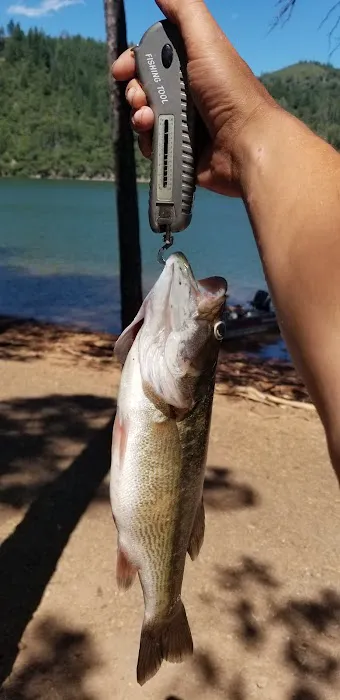 Arbuckle Flat Campground Picture 3