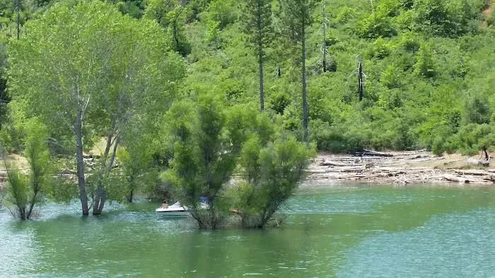 Rend Island Campground Picture 8