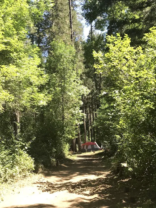 Madrone Campground Picture 1