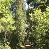 Madrone Campground ico