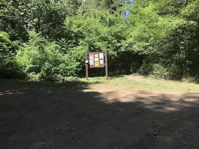 Madrone Campground Picture 2