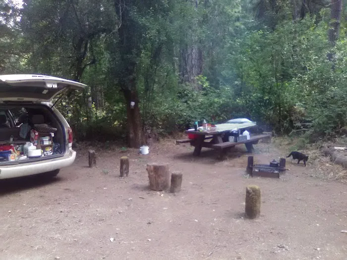 Madrone Campground Picture 4