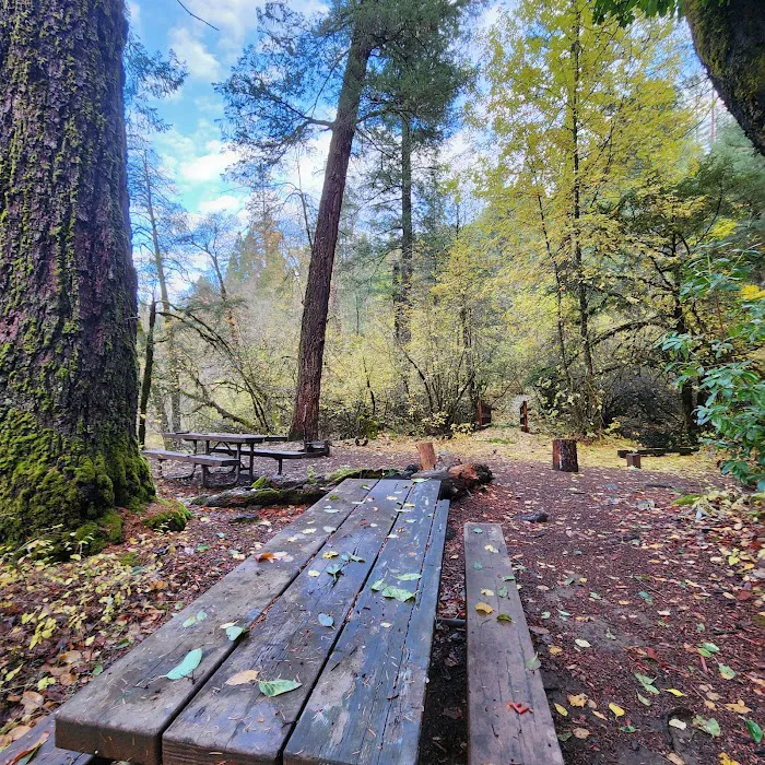 Madrone Campground Picture 9
