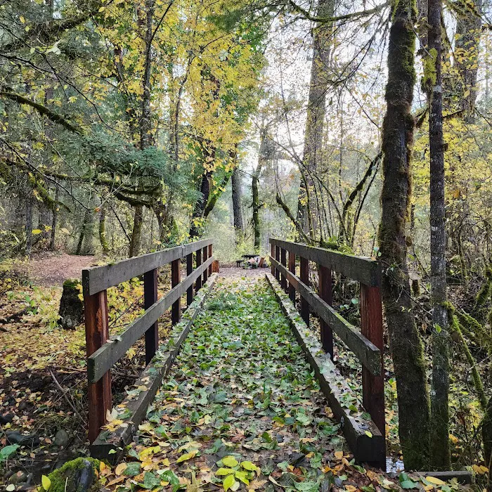Madrone Campground Picture 10