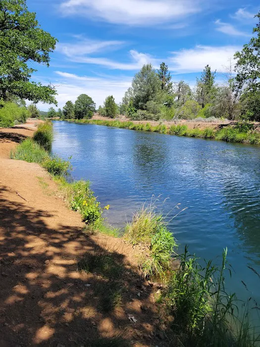 Cassel Campground Picture 7
