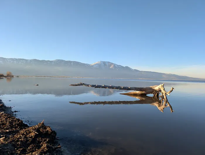 Washoe Lake State Park Campground Picture 6