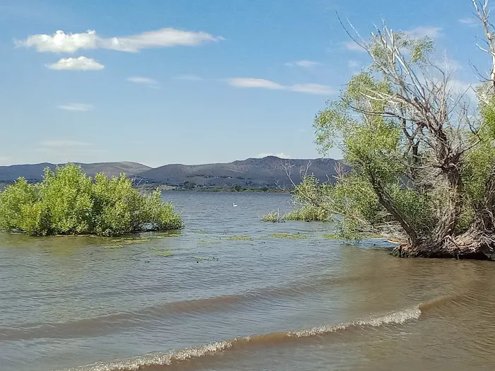 Washoe Lake State Park Campground Picture 2