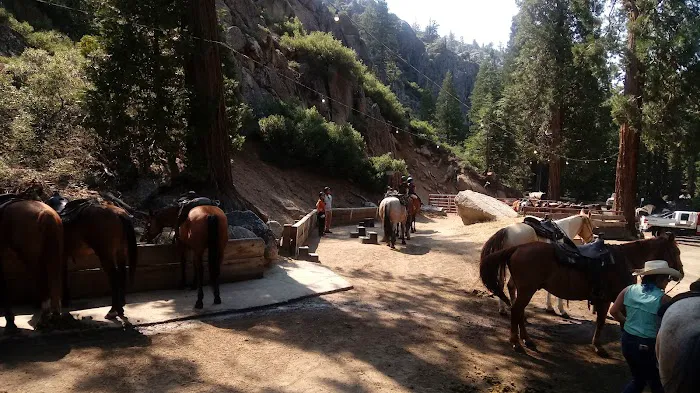 Deadman Campground Picture 4