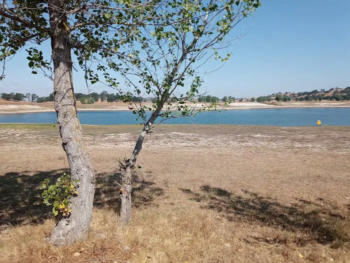 Camanche Lake Blue Oaks Campground North Shore Picture 5