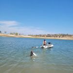 Camanche Lake Blue Oaks Campground North Shore