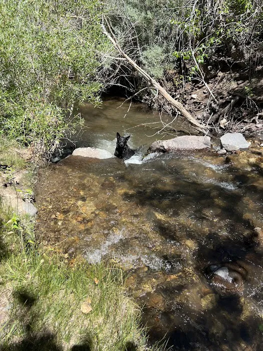 Desert Creek Campground Picture 7