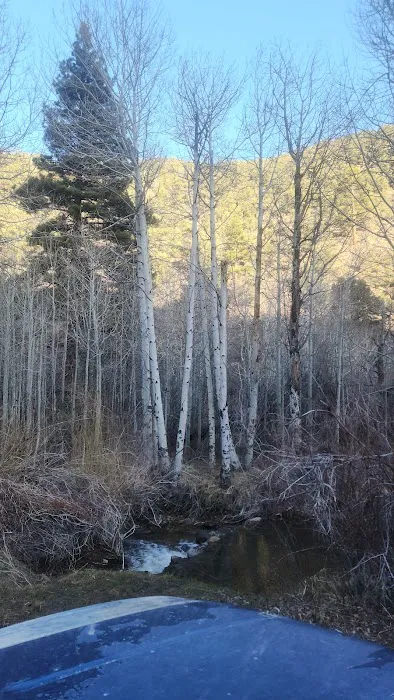 Desert Creek Campground Picture 9